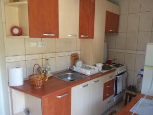 a small kitchen with a sink and a stove at Casa Cătălina in Silvaşu de Jos +26 photos