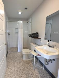 a bathroom with a toilet and a sink at Cape Breton Flats in Inverness