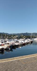 a bunch of boats are docked in a harbor at Casetta vacanze a due passi dal mare in Santa Margherita Ligure