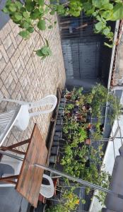 une vue aérienne d'un jardin avec des plantes dans les escaliers dans l'établissement Casa família COP30, à Belém