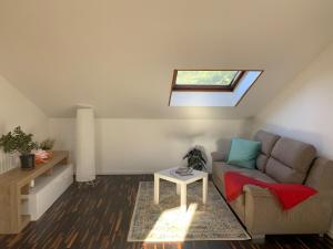 a living room with a couch and a skylight at Nice apartment near Orio airport in Trezzano Rosa