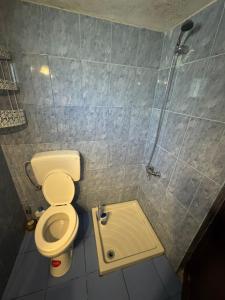 a small bathroom with a toilet and a shower at Villa Adi 