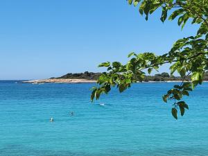 a large body of water with people swimming in it at Anya 50 meters to the beach in Banjole