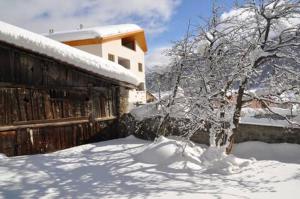 un árbol cubierto de nieve junto a un edificio en Chesa Dimvih, en Zuoz