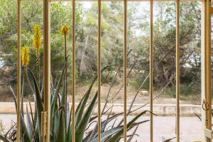 una cerca con una planta delante de ella en Can Solsulet, en Es Pujols