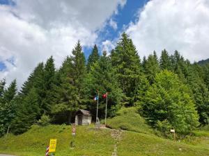 Príroda v okolí apartmánu