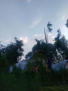 Gallery image of Dieng glamping syari'ah in Dieng +12 photos