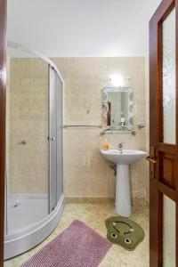 a bathroom with a shower and a sink and a mirror at Pensiunea Valea Dornelor in Ortoaia +15 photos