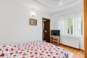 a bedroom with a bed and a television in it at Pensiunea Valea Dornelor in Ortoaia