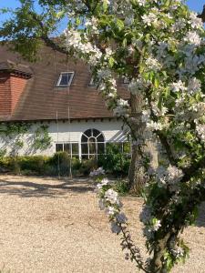 a flowering tree in front of a house at Rural farm stay with stunning indoor pool in Billingshurst