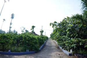 Φωτογραφία από το άλμπουμ του Lake View Cottage σε Ponnampet