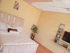 a bedroom with a white bed and a tv at Voi luxurious homes in Voi +3 photos