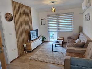 a living room with a couch and a tv at Apartman Kops Lukavica, Istočno Sarajevo in Vranješ