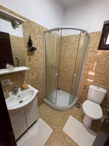 a bathroom with a shower and a toilet and a sink at Pensiunea Floare de Colt in Moisei