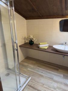 a bathroom with a glass shower and a sink at Aussermooserhof in Alpbach +25 photos