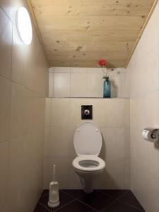 a bathroom with a toilet in a room at Aussermooserhof in Alpbach
