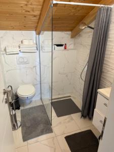 a bathroom with a shower and a toilet at BEACH HOUSE ZECJA in Poljica
