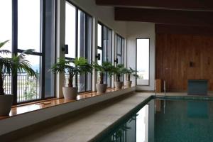 Una piscina con plantas en macetas en un edificio. en Cozy and relax Apartment, en Puerto Natales