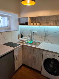 オフリドにあるStone house - TEMAのシンクと洗濯機付きのキッチン