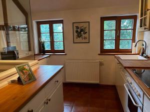 Kuchyň nebo kuchyňský kout v ubytování Ferienwohnung Seibel + 5 fotografií