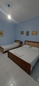 two beds in a room with blue walls at Green Forest in Berat