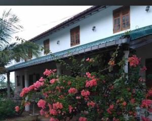 Zahrada ubytování H&M Resort Arugambay