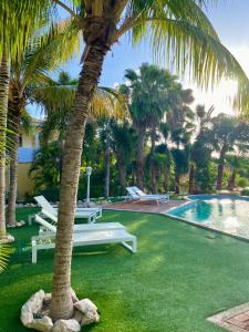 a palm tree sitting next to a swimming pool at Luz Abondante in Jan Thiel