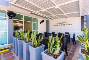 une rangée de plantes en pot devant un restaurant dans l'établissement Hotel Med Cartagena, à Carthagène des Indes