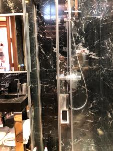 a shower with a glass door in a bathroom at Charmant appartement, centre piéton Vieille Ville Annecy in Annecy +50 photos