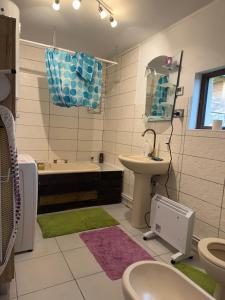 a bathroom with a sink and a tub and a toilet at Cabana Dor de-Acas / Restaurant Dor de-Acas in Gura Haitii