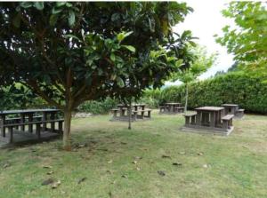 a group of picnic tables and a tree in a park at Piso Encanto Palmeiro in Jove