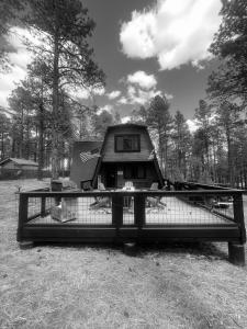 a small house behind a fence in a field at Grand Canyon Cabin! One hour and 10 minutes to the South Entrance! in Williams