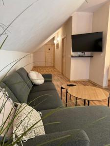 TV a/nebo společenská místnost v ubytování Ratasvälja Apartment Iti