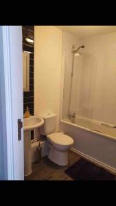 a bathroom with a toilet and a sink and a shower at City studio Apartment in Swansea +5 photos