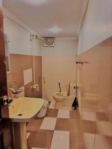a bathroom with a toilet and a sink at Galaxy Rezidor in Karachi