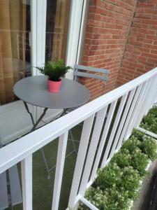 a table on a balcony with a plant on it at Castillo Triste Condesa in Arenas de San Pedro +4 photos