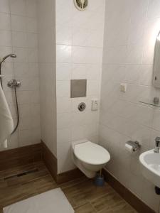 um banheiro com vaso sanitário e pia em Hotel FLÓRA retro em Dudince mais 53 fotografias