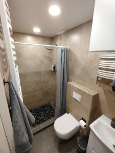 a bathroom with a shower and a toilet and a sink at UrbanHome Rokiškis in Rokiškis +8 photos