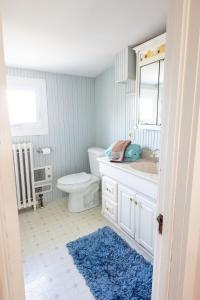 a bathroom with a toilet and a sink and a mirror at The Wildflower House Yellow Springs AND Pet Friendly  +49 photos