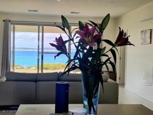 Vivonne Bay库帕兰达梦想度假屋的客厅里带花的花瓶