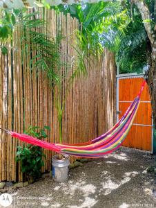 a hammock is tied to a tree in front of a fence at El Tucán Feliz I La Casita Caribeña in Cocles