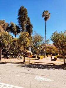 a park with palm trees and a street at MOVA Hotel D'oeste - Localizado em frente a Praça Principal da Cidade, na área Central - Pé na Praça in Poços de Caldas +67 photos