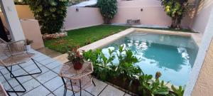 ein Swimmingpool im Garten mit Stühlen und Pflanzen in der Unterkunft Casa Eclipse in Cancún