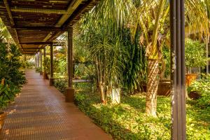 Κήπος έξω από το VELINN Hotel Natureza Foz