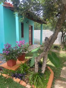 a blue house with plants in front of it at Chalés Rancho Fênix in Palmeiras