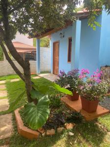 a blue house with plants in front of it at Chalés Rancho Fênix in Palmeiras