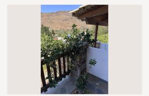 a balcony of a house with plants on it at Ευάγγελος Πολίτης in Pisses