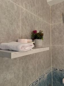 a bathroom with a shelf with towels and a plant at Appartement Mendoubia in Tangier +20 photos