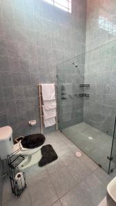 プエブラにあるPuebla centro casa Peerzaのバスルーム(シャワー、トイレ、ガラス張りのシャワー付)