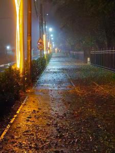 an empty street at night with leaves on the ground at Private Room in Voluntari Quiet & Cozy Stay in Voluntari
